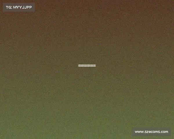 浙江财经大学电子商务竞赛