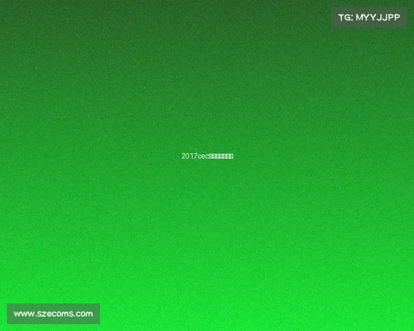 2017cec电竞嘉年华视频